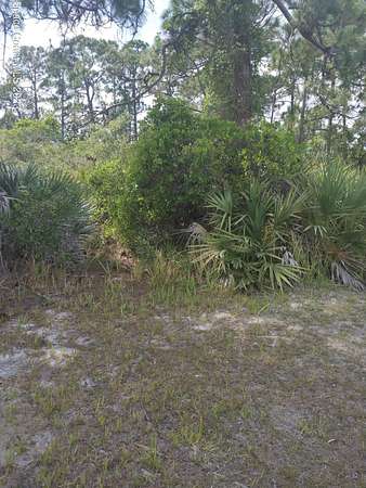1 Acre of Land for Sale in Cocoa, Florida