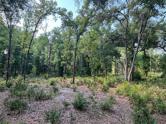 1.25 Acres of Land for Sale in Dunnellon, Florida