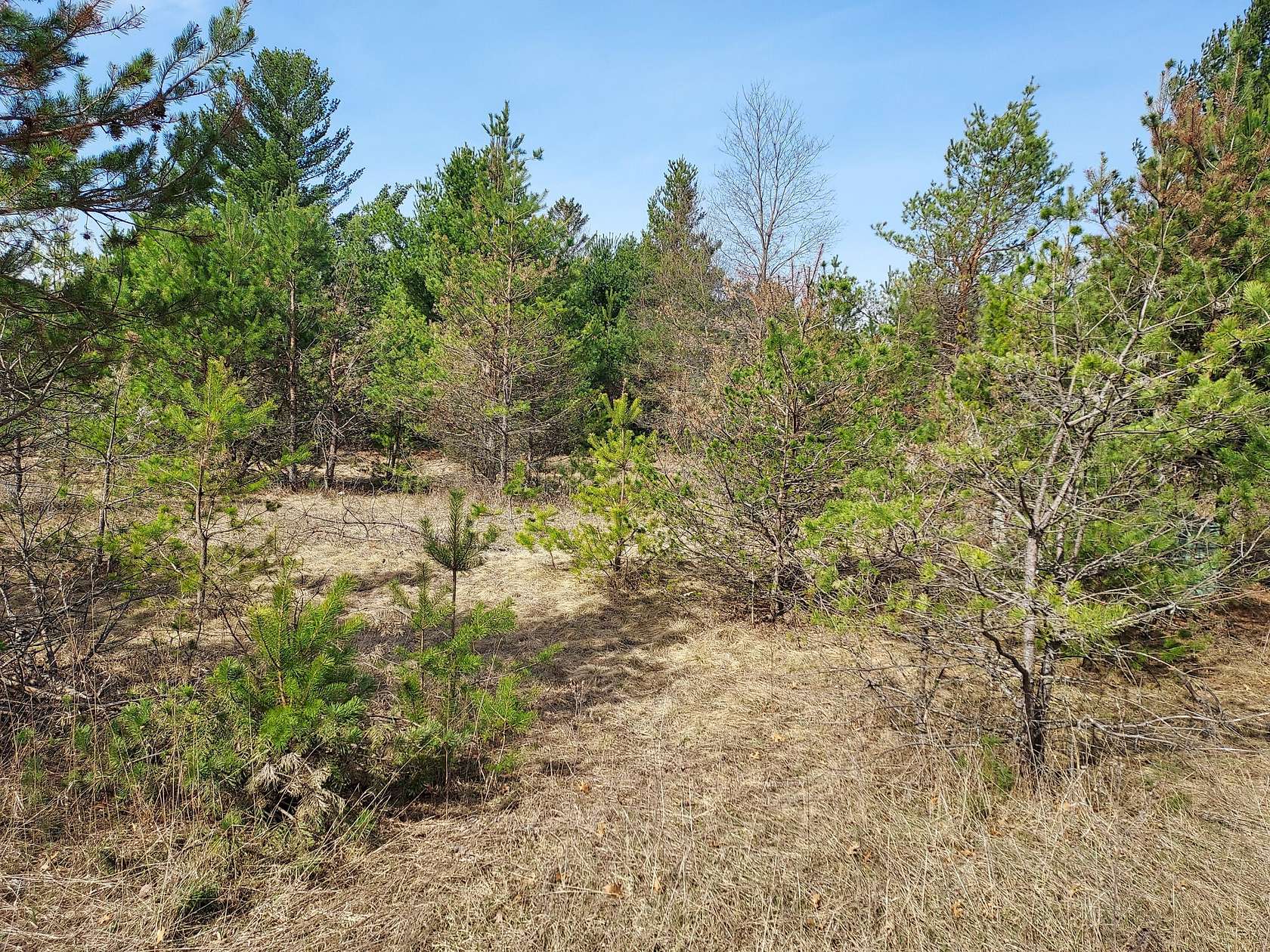 0.6 Acres of Land for Sale in Evart, Michigan