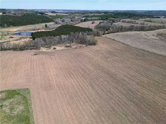 20 Acres of Agricultural Land for Sale in Eleva, Wisconsin