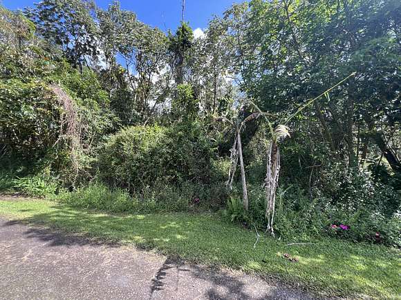 0.19 Acres of Land for Sale in Pahoa, Hawaii