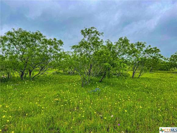 19.3 Acres of Land for Sale in Moody, Texas