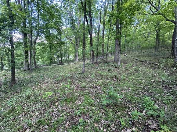 6 Acres of Residential Land for Sale in Ooltewah, Tennessee