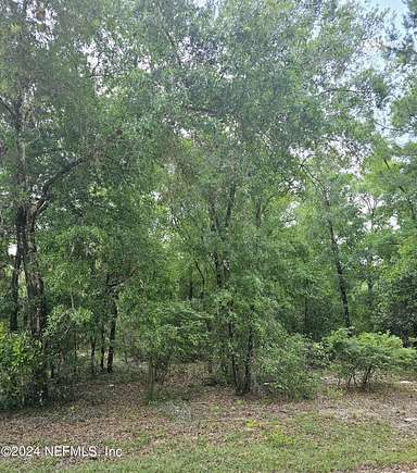 0.99 Acres of Residential Land for Sale in Keystone Heights, Florida