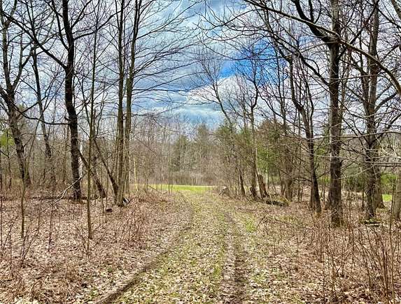 5.1 Acres of Improved Residential Land for Sale in Conesville, New York