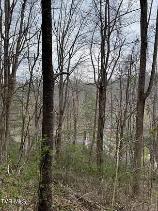 1.7 Acres of Residential Land for Sale in Butler, Tennessee