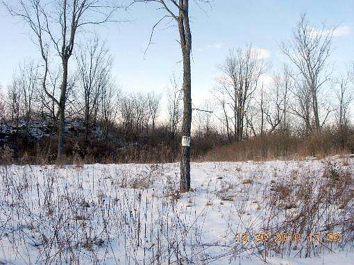 20 Acres of Recreational Land & Farm for Sale in Gouverneur, New York