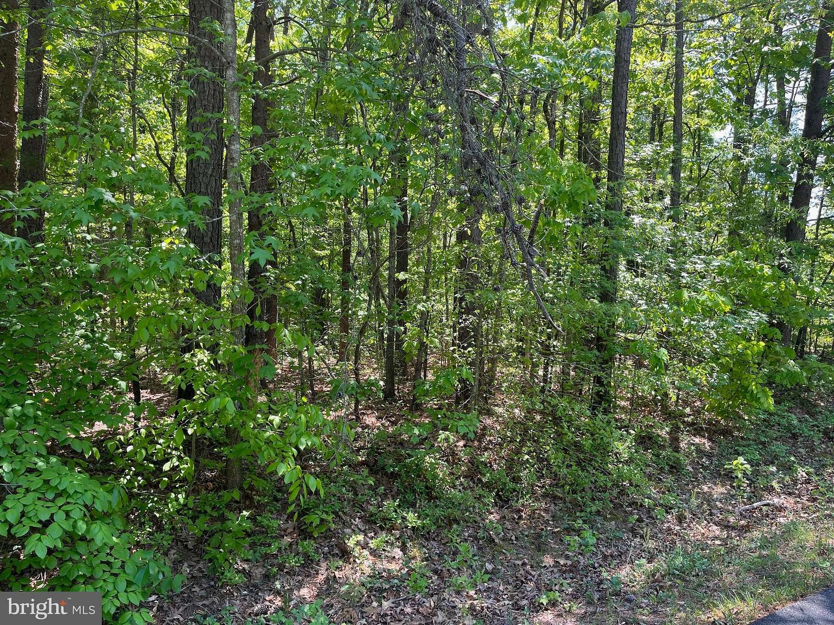 0.46 Acres of Residential Land for Sale in Ruther Glen, Virginia