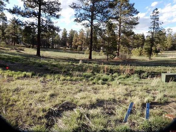 3.9 Acres of Commercial Land for Sale in Pagosa Springs, Colorado