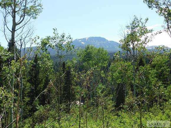 3.64 Acres of Residential Land for Sale in Island Park, Idaho