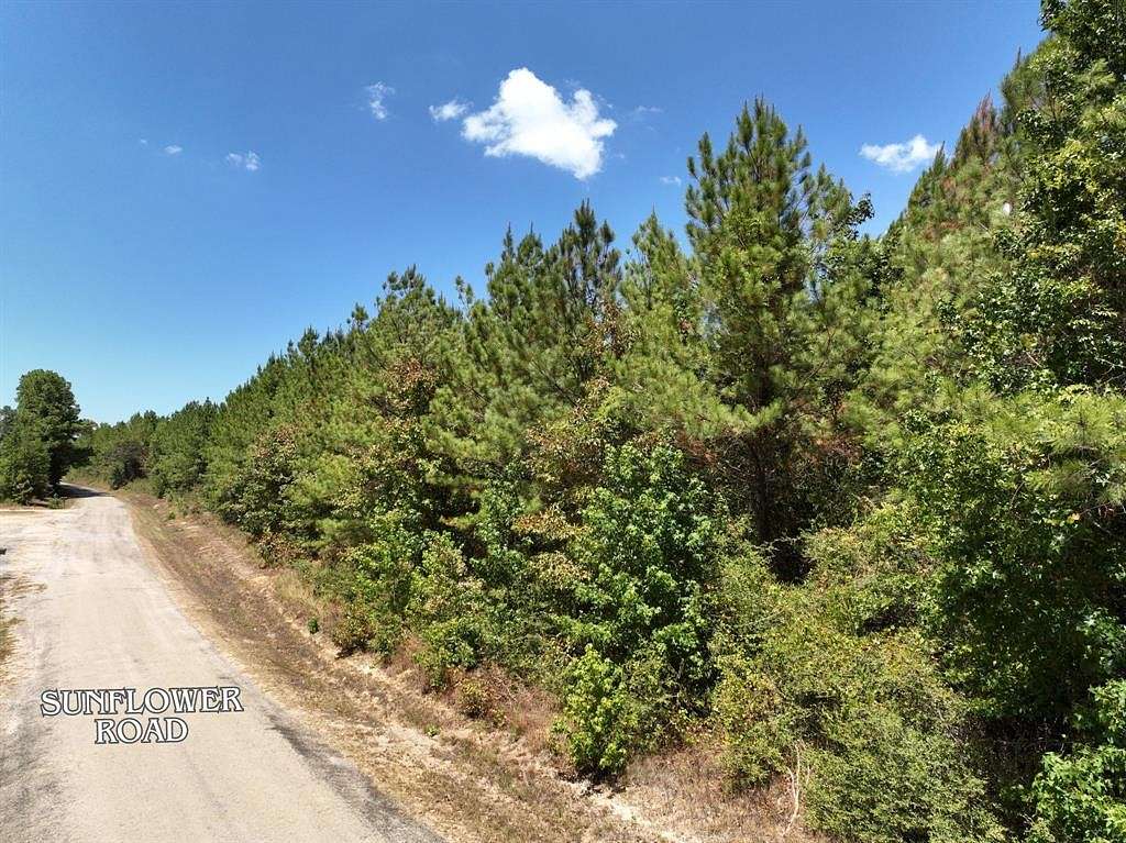 18.3 Acres of Recreational Land for Sale in Livingston, Texas