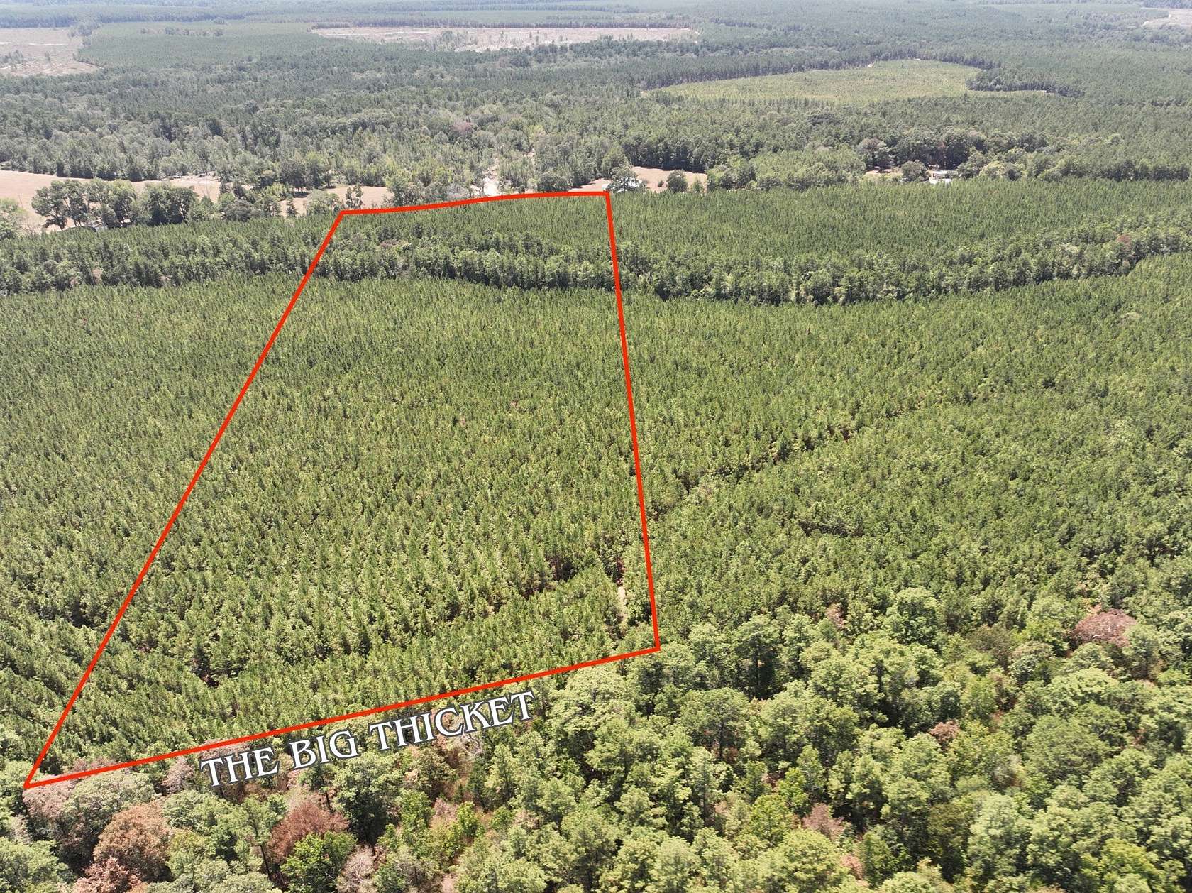 18.3 Acres of Recreational Land for Sale in Livingston, Texas