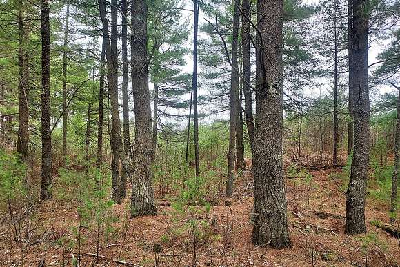 5 Acres of Land for Sale in Tomahawk, Wisconsin