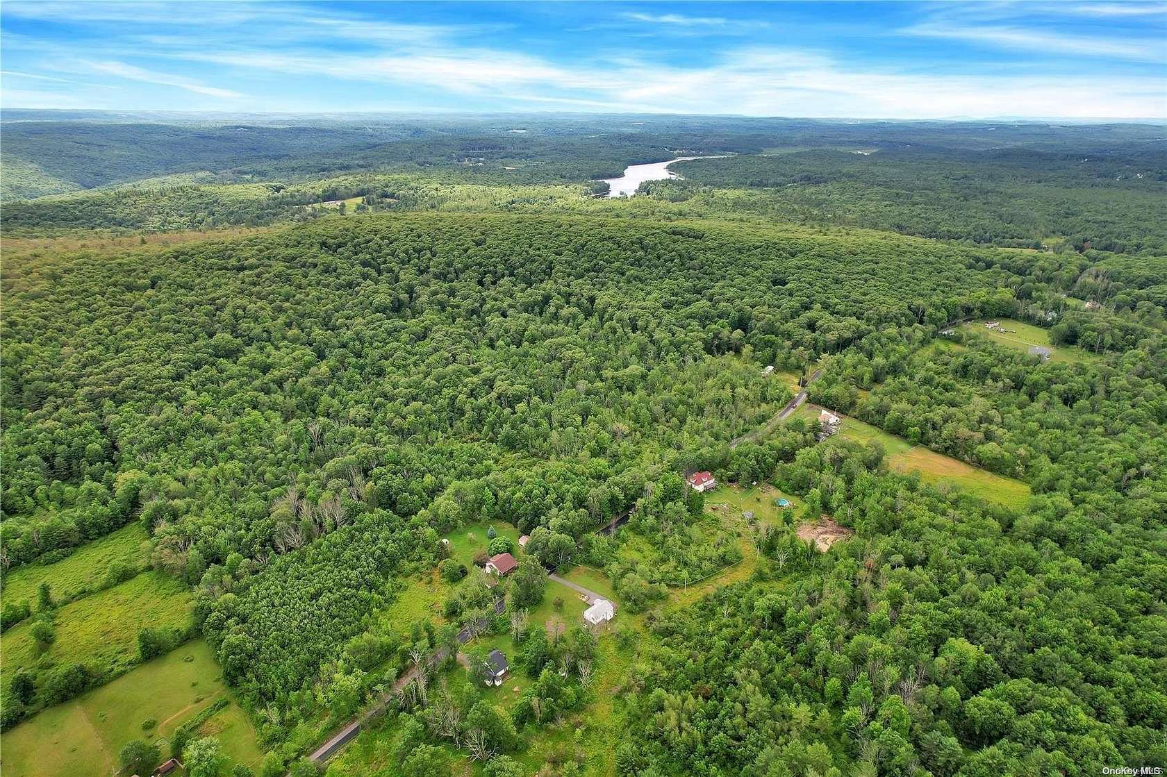 34.86 Acres of Land for Sale in Wawarsing, New York