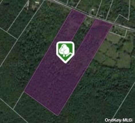 34.9 Acres of Land for Sale in Ellenville, New York