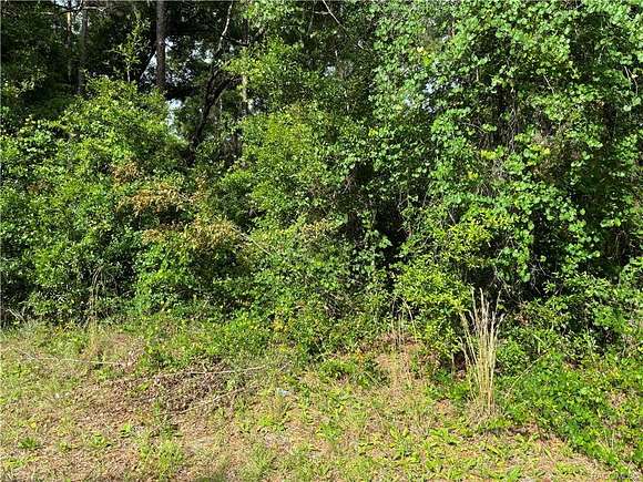 0.4 Acres of Residential Land for Sale in Citrus Springs, Florida