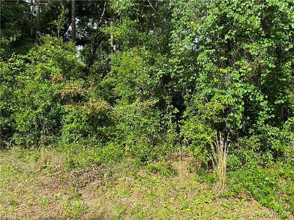 0.4 Acres of Residential Land for Sale in Citrus Springs, Florida