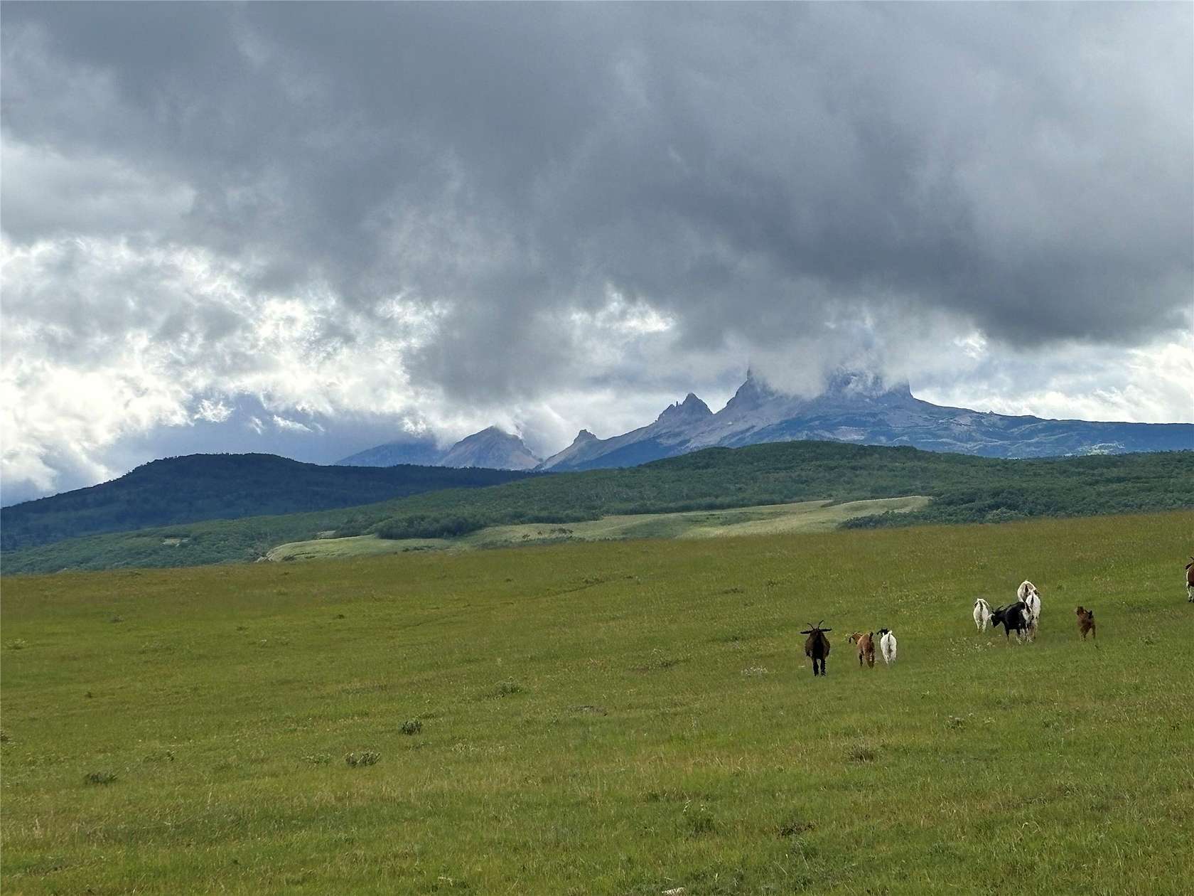 3,649 Acres of Recreational Land & Farm for Sale in Babb, Montana