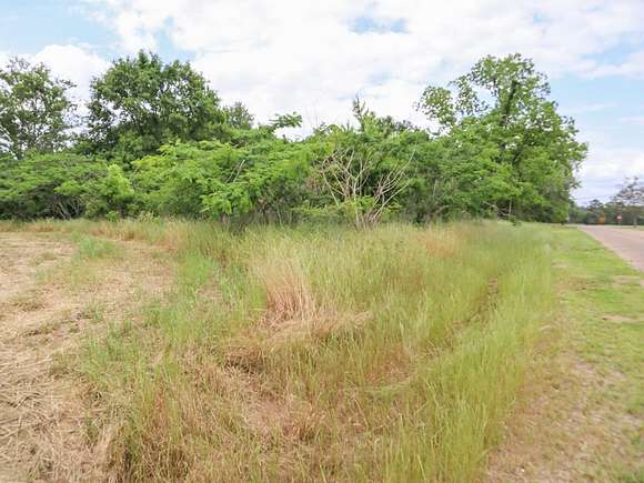 36.2 Acres of Land for Sale in Taylor, Alabama