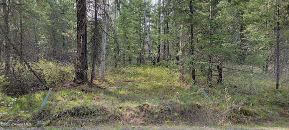 6.9 Acres of Land for Sale in Priest River, Idaho