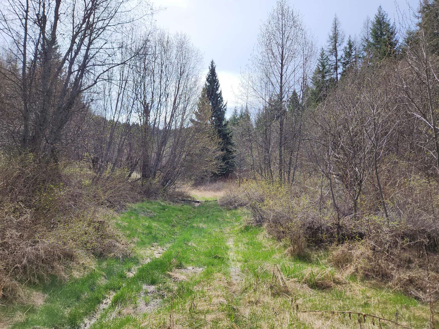 20 Acres of Recreational Land for Sale in Republic, Washington
