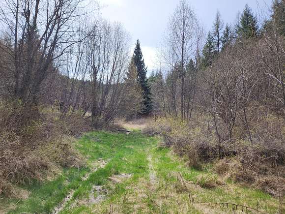 20 Acres of Recreational Land for Sale in Republic, Washington