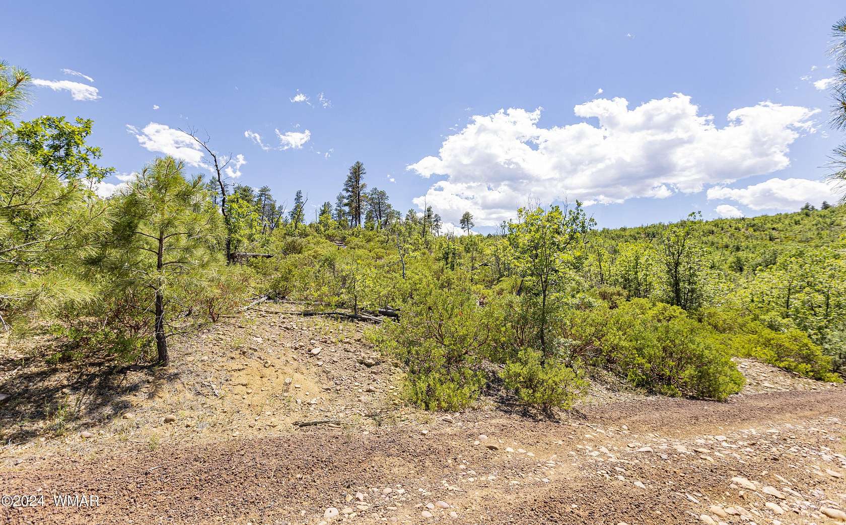 14 Acres of Land for Sale in Show Low, Arizona