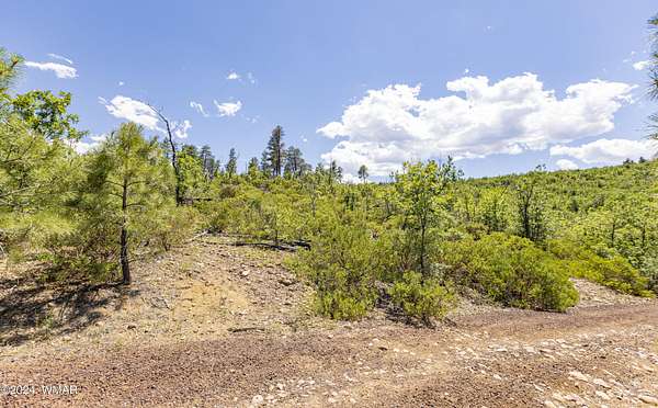 14 Acres of Land for Sale in Show Low, Arizona