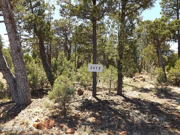 3 Acres of Residential Land for Sale in Overgaard, Arizona