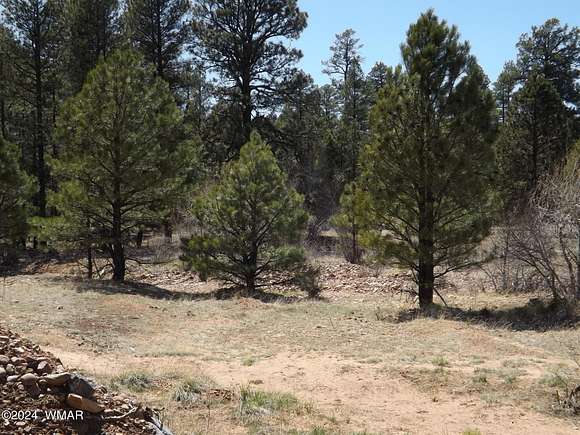 5.1 Acres of Residential Land for Sale in Heber, Arizona