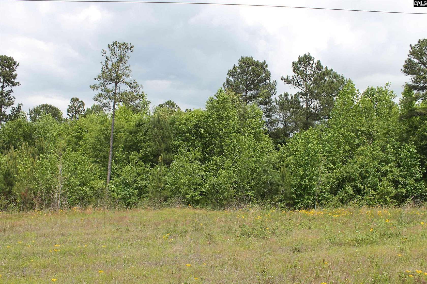 10.7 Acres of Land for Sale in Prosperity, South Carolina