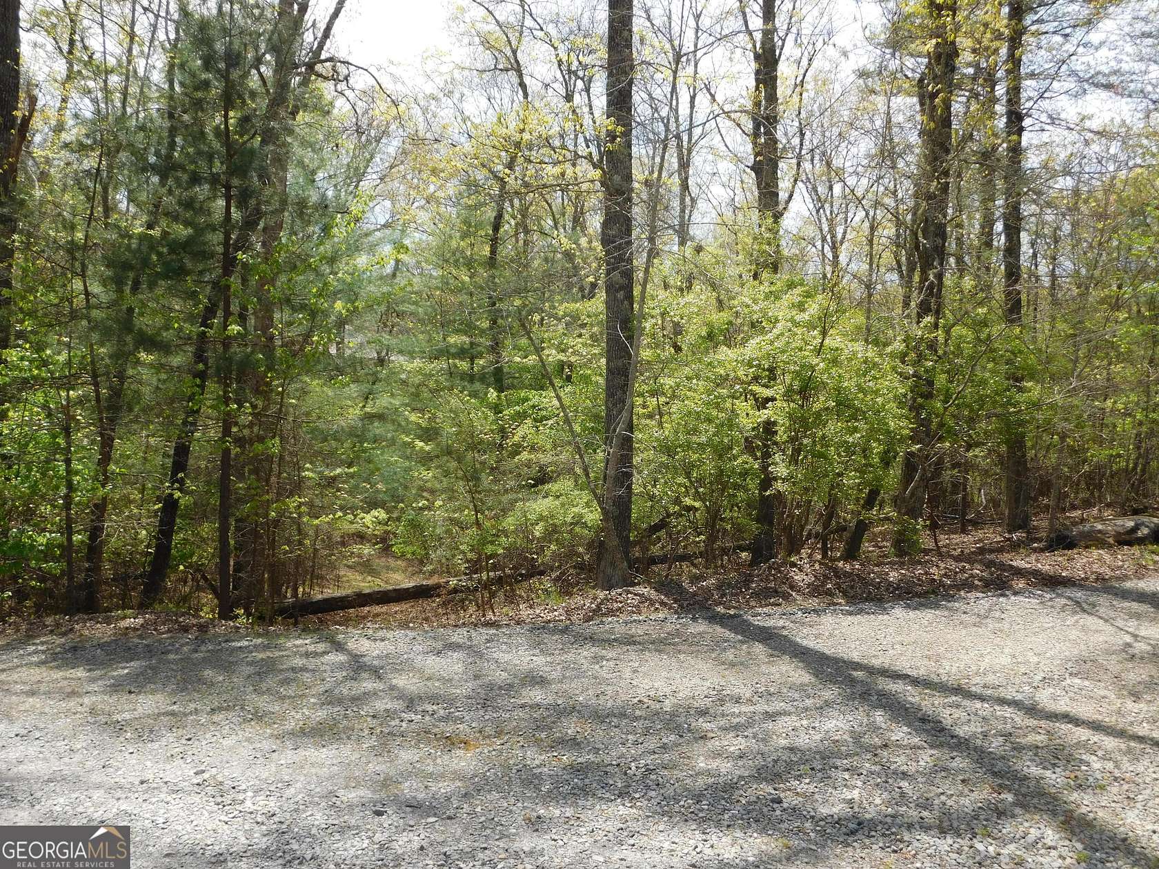 1.38 Acres of Residential Land for Sale in Blue Ridge, Georgia