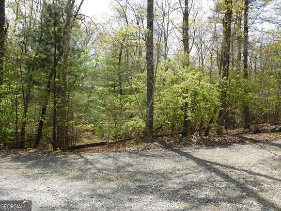 1.4 Acres of Residential Land for Sale in Blue Ridge, Georgia
