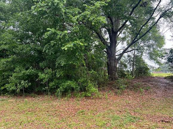 1.5 Acres of Residential Land for Sale in Lumberton, Mississippi