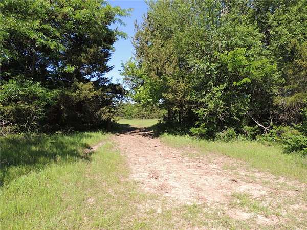 190 Acres of Land for Sale in Whitewright, Texas