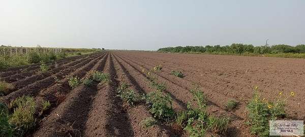 10 Acres of Agricultural Land for Sale in Mercedes, Texas