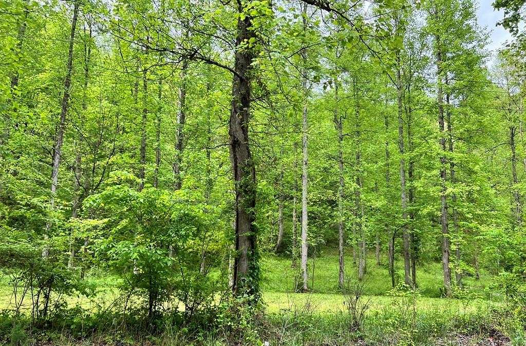 2 Acres of Residential Land for Sale in Robinson Creek, Kentucky