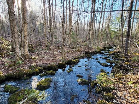 30.4 Acres of Recreational Land for Sale in Oakfield, Maine