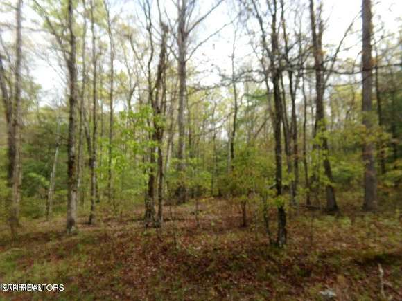 0.25 Acres of Land for Sale in Crossville, Tennessee