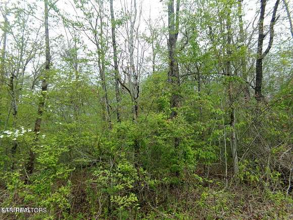 0.23 Acres of Land for Sale in Crossville, Tennessee