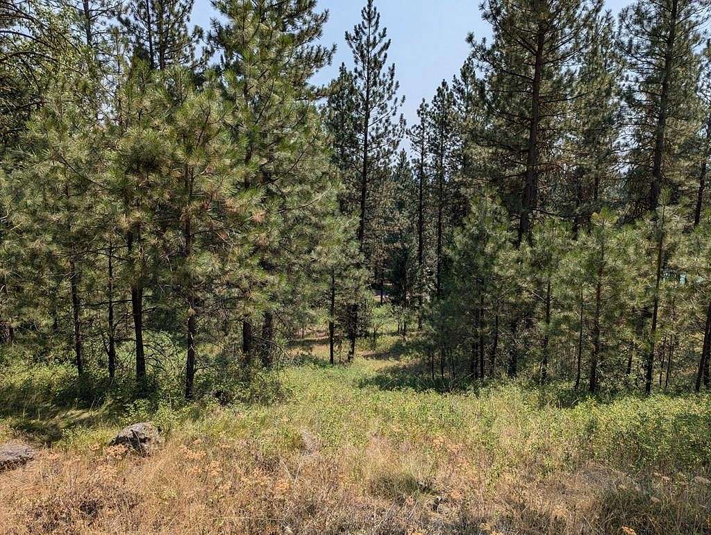 0.85 Acres of Residential Land for Sale in New Meadows, Idaho