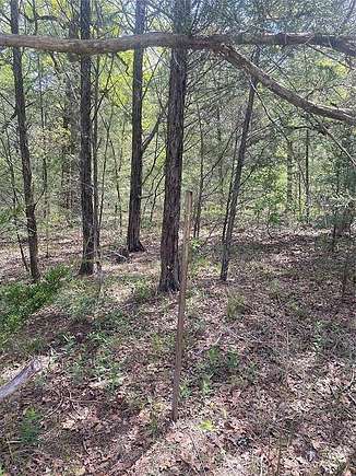 0.47 Acres of Residential Land for Sale in Smithville, Texas