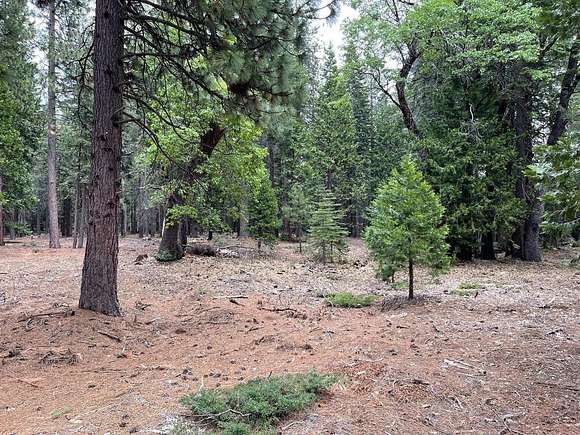 3.9 Acres of Residential Land for Sale in Camp Connell, California