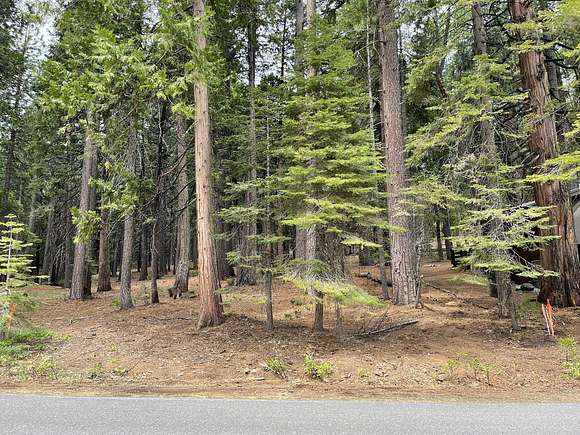 2.8 Acres of Residential Land for Sale in Camp Connell, California