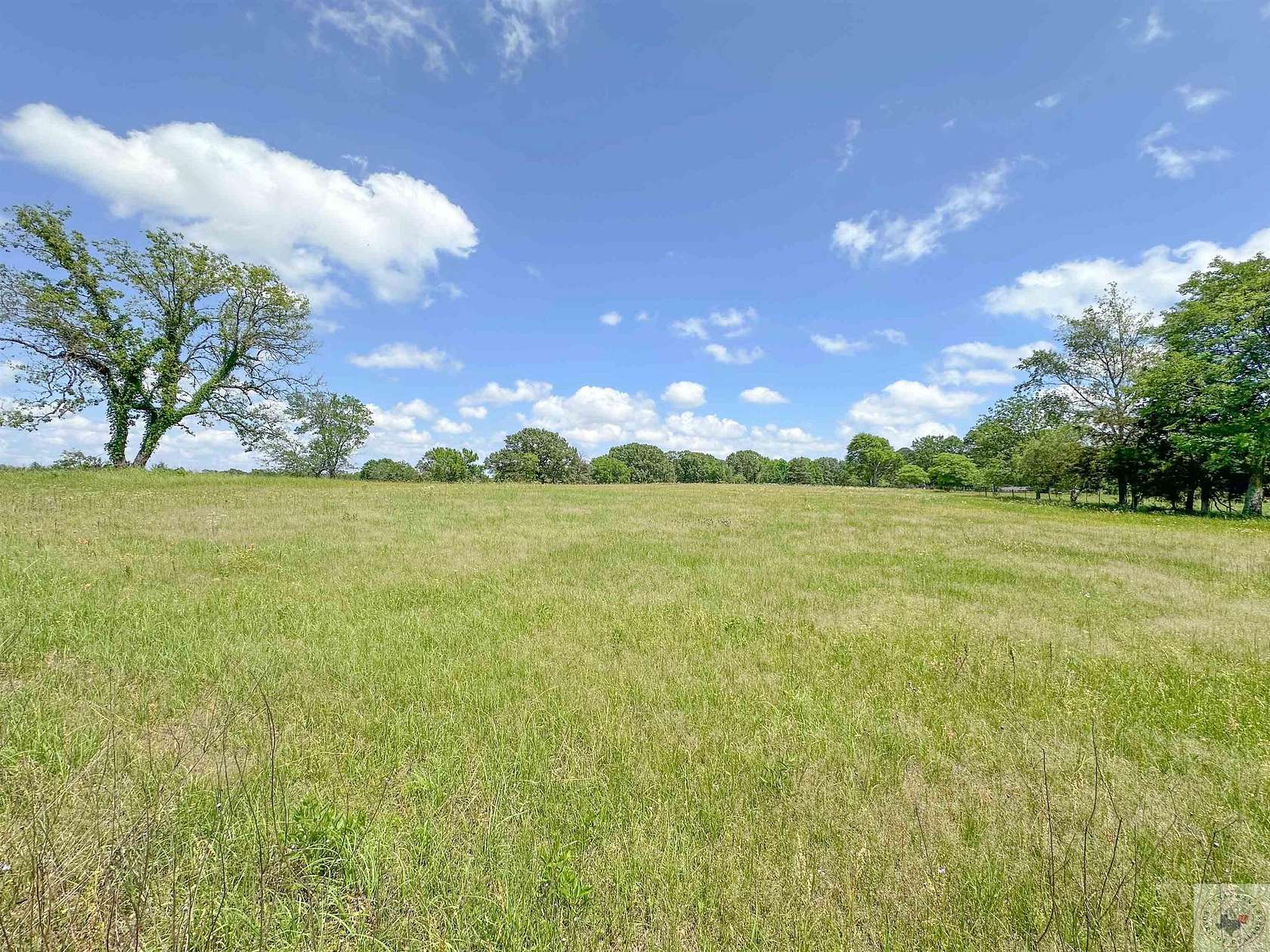 5.3 Acres of Residential Land for Sale in Omaha, Texas