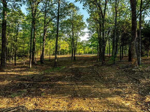 169 Acres of Land for Sale in Poughkeepsie, Arkansas