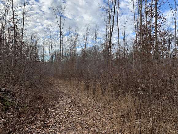 11 Acres of Land for Sale in Keavy, Kentucky