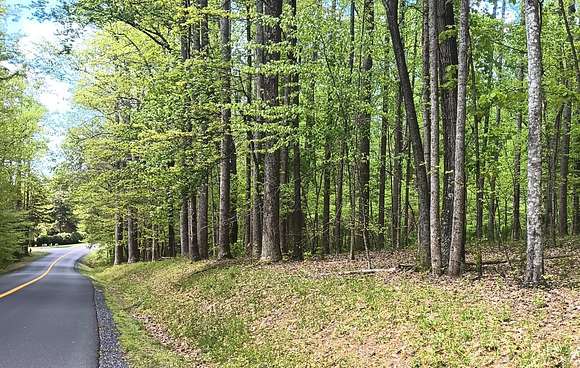 5.7 Acres of Land for Sale in Nellysford, Virginia