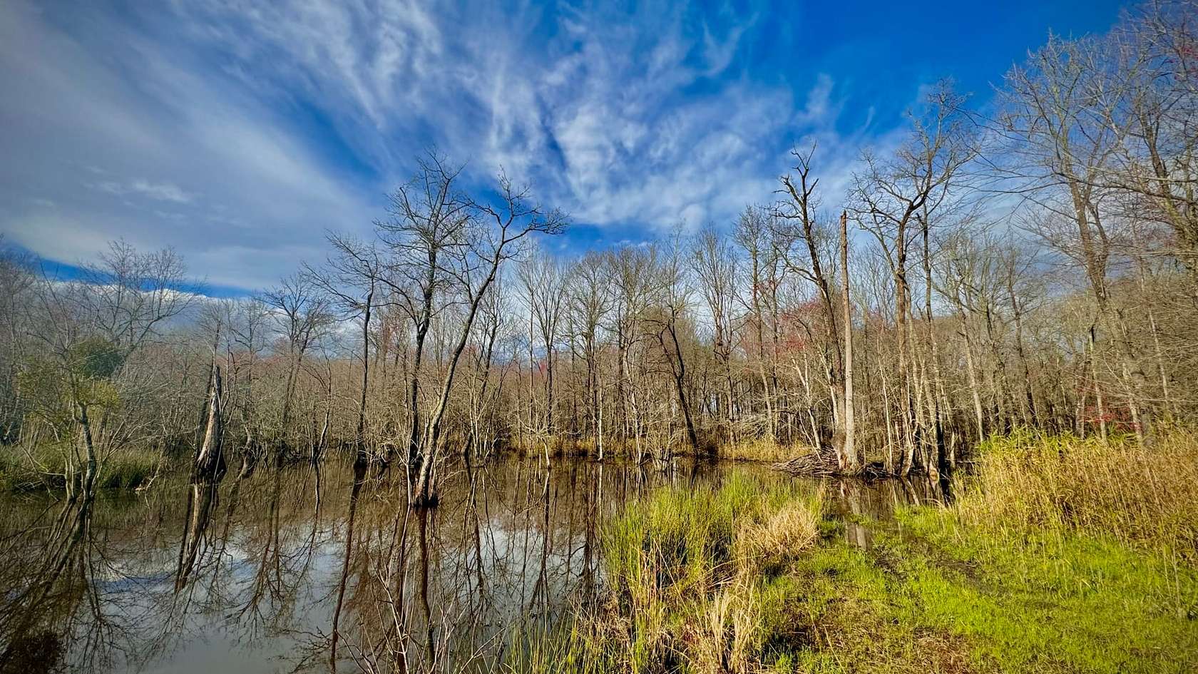 175 Acres of Recreational Land for Sale in Sandersville, Georgia