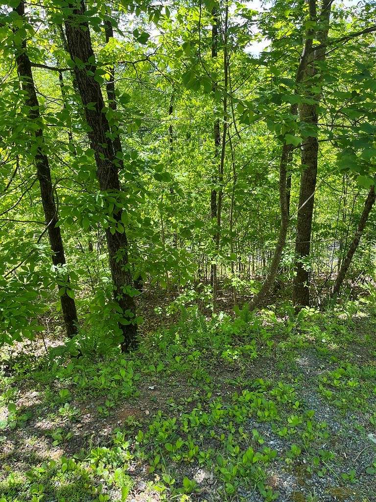 0.61 Acres of Land for Sale in Hayesville, North Carolina